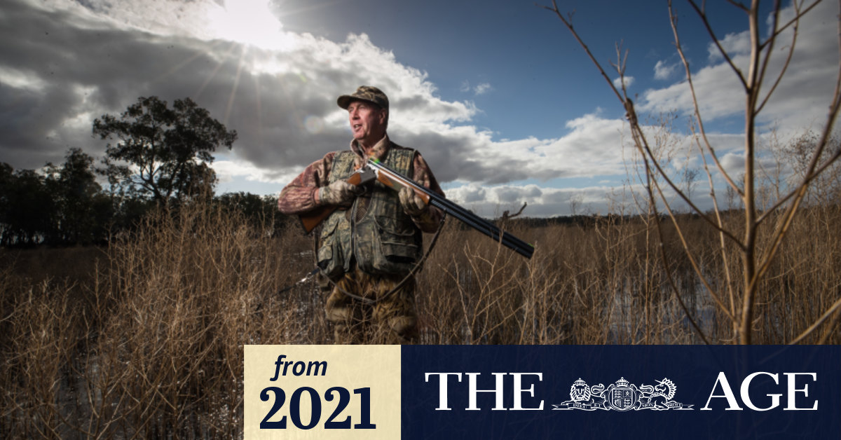 Shooting match over bill for Victorian duck shooting ban
